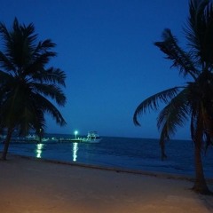 🏝️