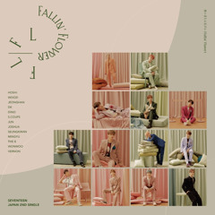 SEVENTEEN "Fallin' Flower" (Korean ver.)