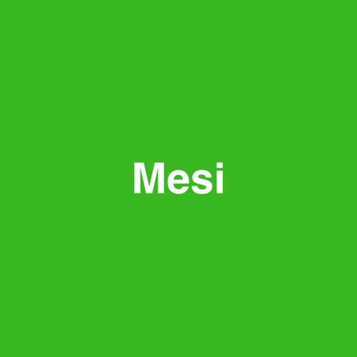 Mesi | made on the Rapchat app (prod. by Koprovskij_Production)
