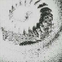 FA(VS)