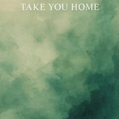 Take You Home