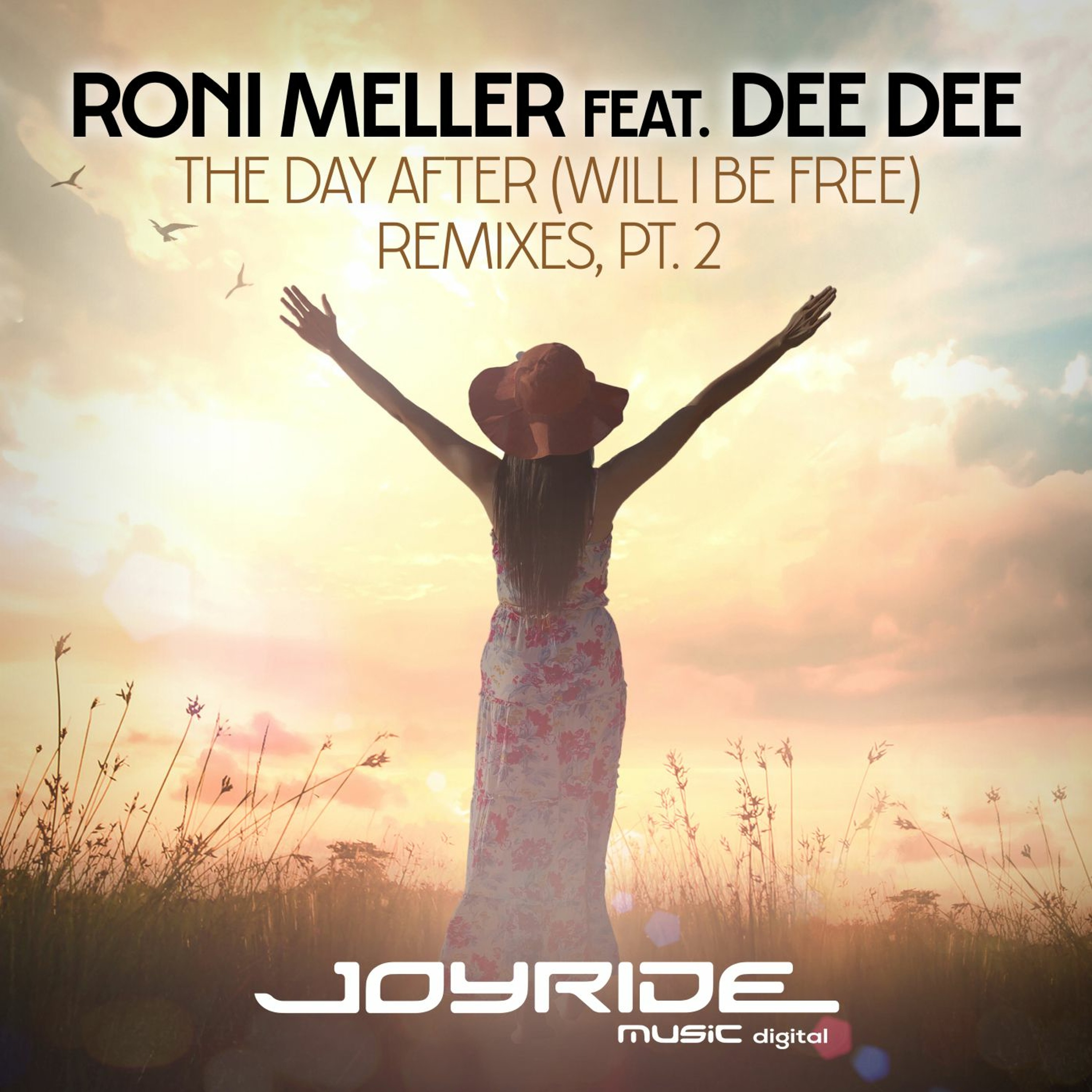 Roni Meller feat. Dee Dee - The Day After (Will I Be Free) (Mario Lopez vs. C-Base Remix) [2010] episode artwork
