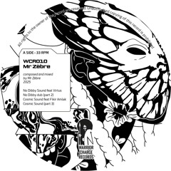 A Path in Between (vinyl edition) - side A (preview)