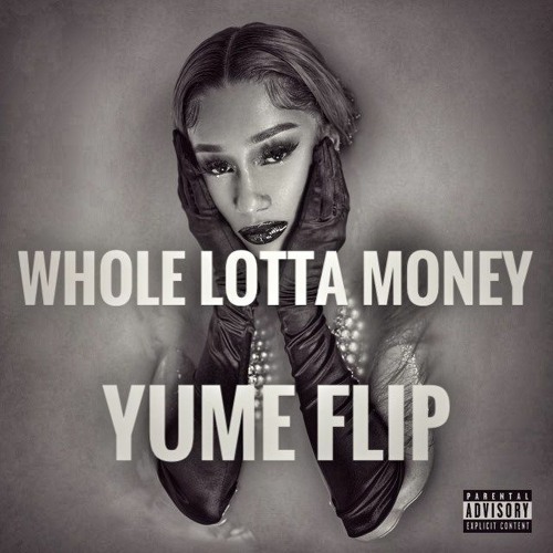 bia whole lotta money bia whole lotta money