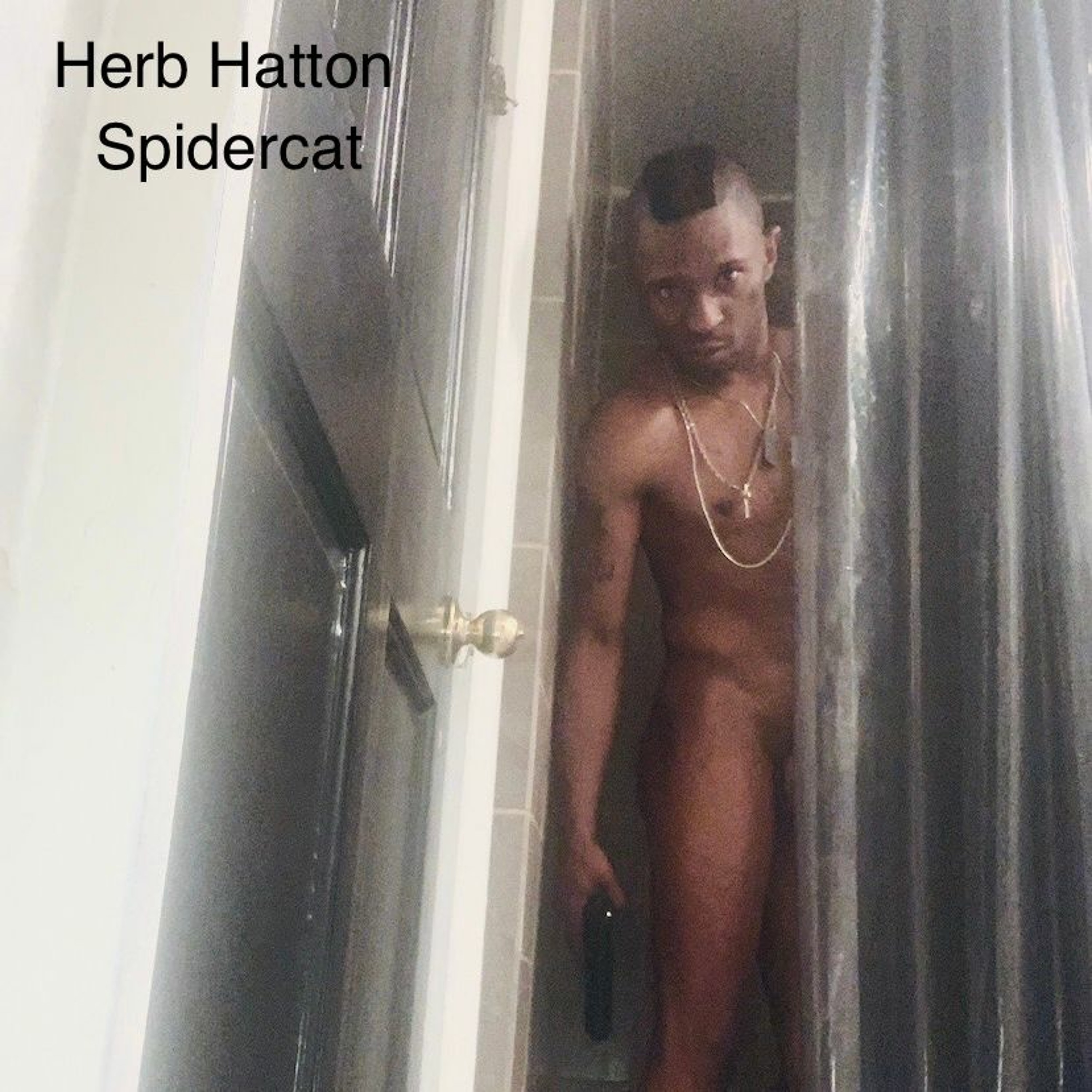 Herb Hatton - Spidercat episode artwork