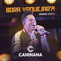 Chicote do Amor
