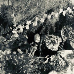 Cemenelum [short edit]