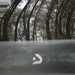 fleeting reflection