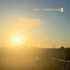 Feel Something