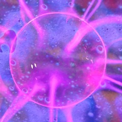 habits x no flex zone