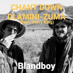 Chant Down Dlamini-Zuma (Feat. Durry King)