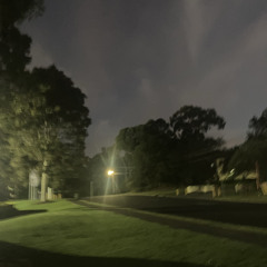 Mist