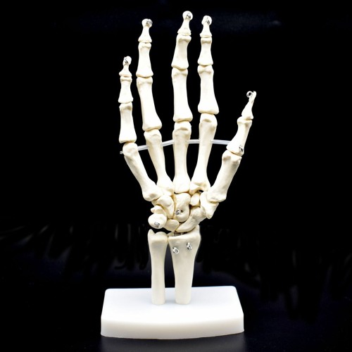 BONES feat. Hannah Noah
