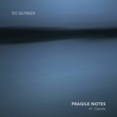 Fragile Notes - Gentle