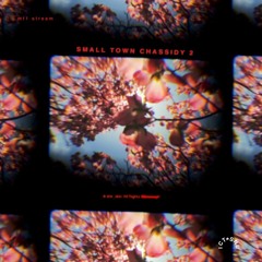 she_skin- Small Town Chassidy 2 (STC2: mt1 stream)