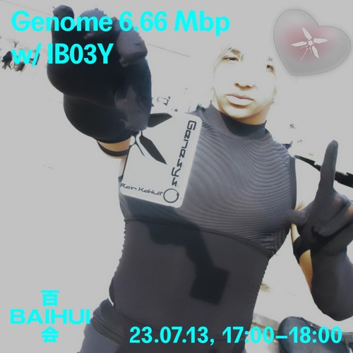 Genome 6.66 Mbp w/ ib03y on Baihui Radio