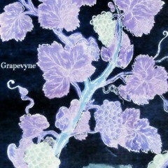 Grapevyne (w/ Crowxan)