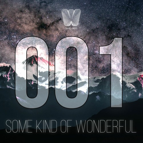 David West - Some Kind Of Wonderful 001