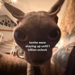 Flop @ the Stud: Cute Pop Music to dance to!