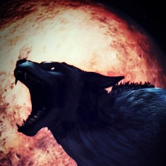 Looking at the moon