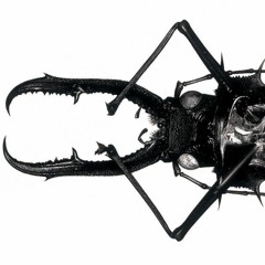 Massive Attacks