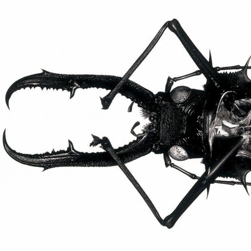 Massive Attacks