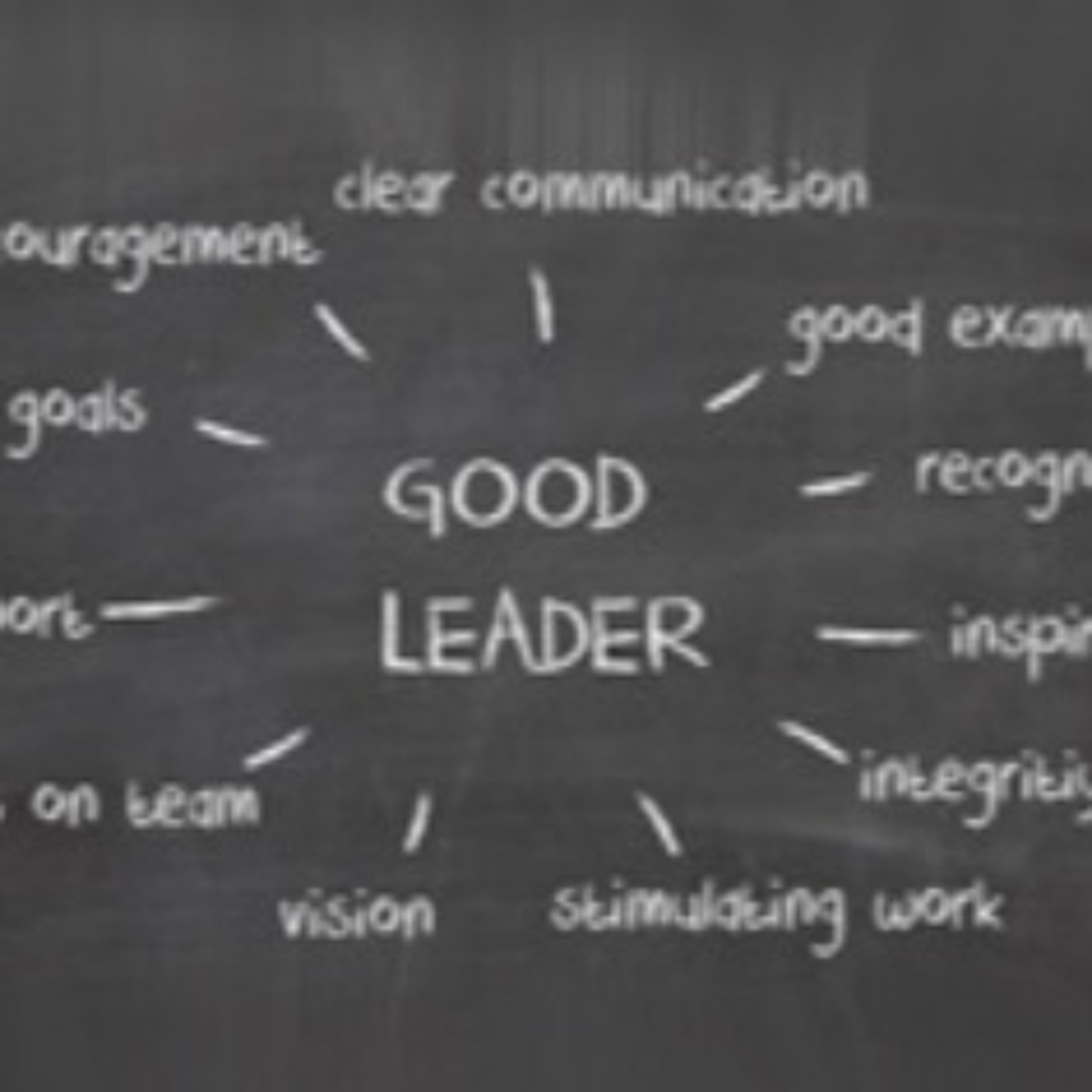 Why we need good leaders. episode artwork