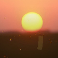 Golden Hour