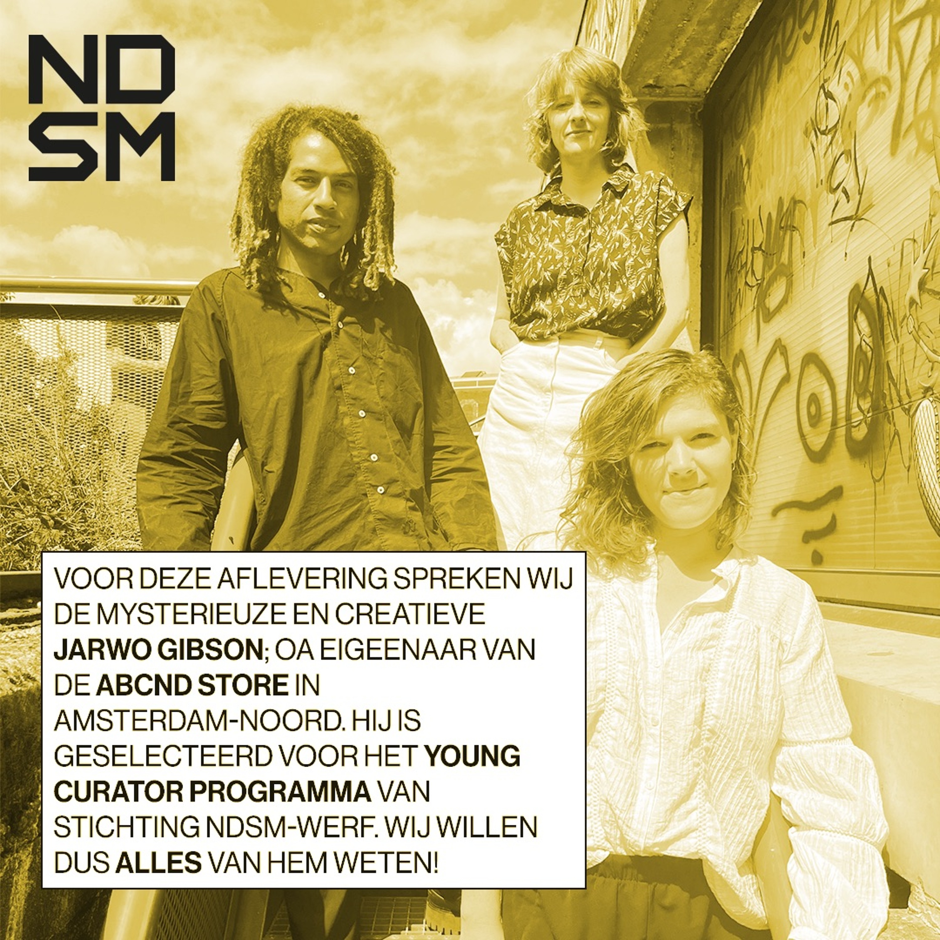 NDSM X