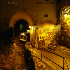 Mr. Mace - Behind The Walls (Original Mix)