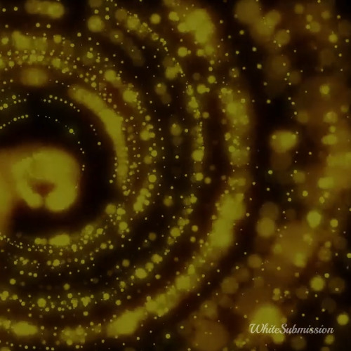 BNWO - White Decline (TEASER)