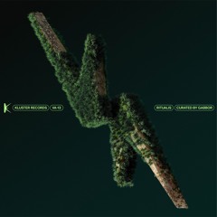 𝑷𝑹𝑬𝑴𝑰𝑬𝑹𝑬: Forest - Abyssal Murmurs [KLST21]