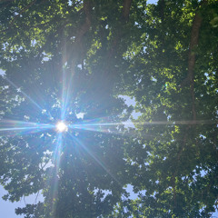 heatwave   ૮₍˃̵֊ ˂̵ ₎ა