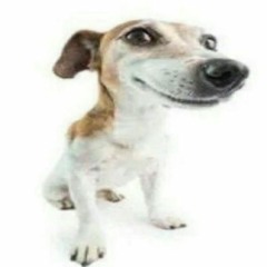 lil ling ling - Fortnite (Prod.  DJ PRODUCER BARLOS)