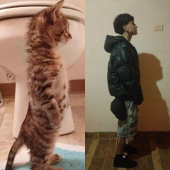 michael jakson w toroou