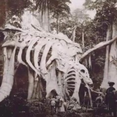 No Need for A watch, Time's  On My side .by Daniel Winn