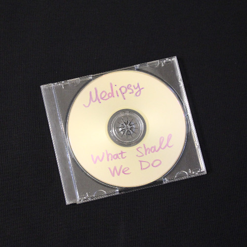 Medipsy_-_What_Shall_We_Do_(radio_mix)