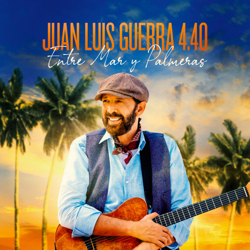 Listen to El Niágara en Bicicleta (Live) by Juan Luis Guerra in Entre Mar y  Palmeras (Live) playlist online for free on SoundCloud