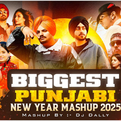 DJ Dally | Biggest New Year Punjabi Mashup 2025
