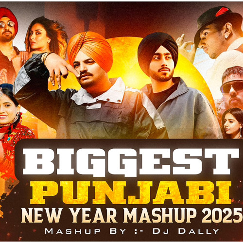 DJ Dally | Biggest New Year Punjabi Mashup 2025