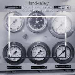 Robert Babicz - Modular (Hardvalley Dub Remix)