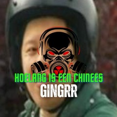 B.C. 't Zooike - Hoe Lang Is Een Chinees (GINGRR Remix)
