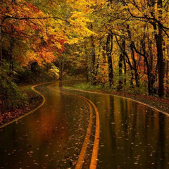 ¿Lets spread some love?