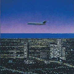 Miami Plane