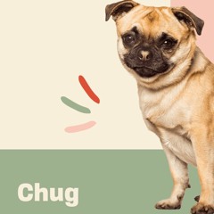 chug