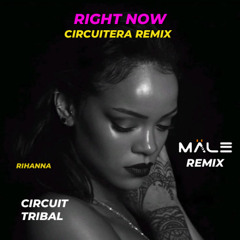 RIGHT NOW (DJ MALE CIRCUITERA REMIX) - RIHANNA #FREEDOWNLOAD