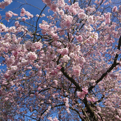 I called the Police today