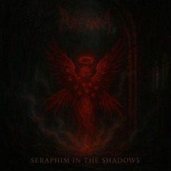 Seraphim In The Shadows