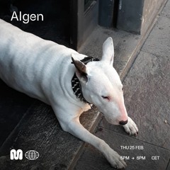 Algen - 25th Feb 2021 on MONDONERO