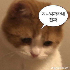 내가 들을려고 만든 겜 플리